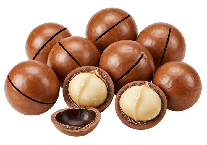 Macadamia nuts, whole and shelled, close up.