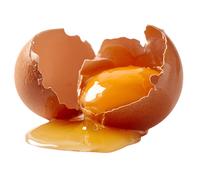 Golden yolk spills from cracked egg.