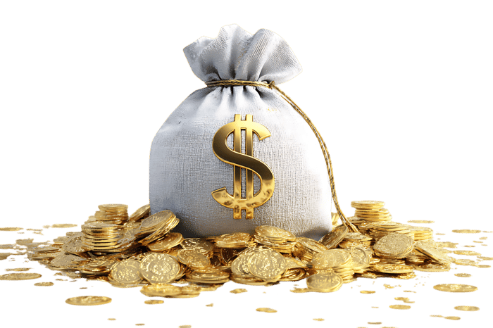 Money bag overflowing with gold coins.