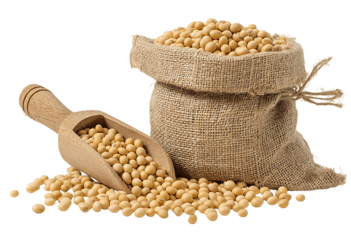 Soybeans in burlap sack and wooden scoop433.