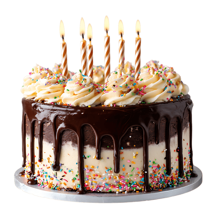 Delicious chocolate cake with sprinkles and lit candles.