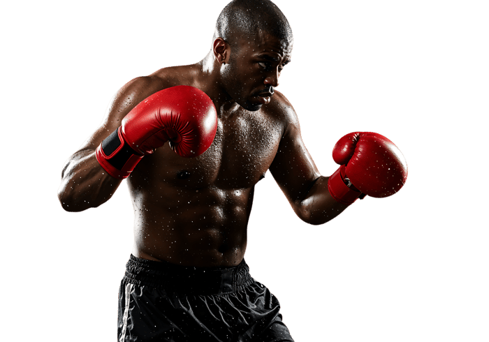 Powerful boxer ready to fight