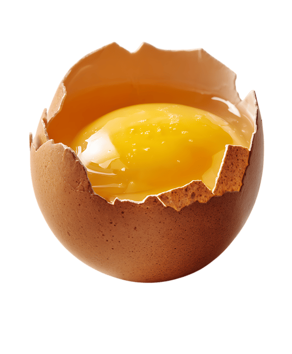 Golden yolk in cracked eggshell