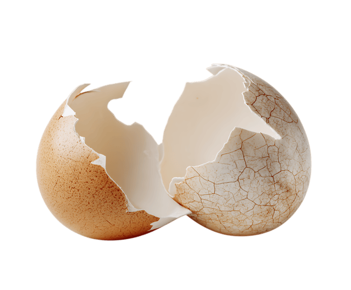 Broken eggshell on black background