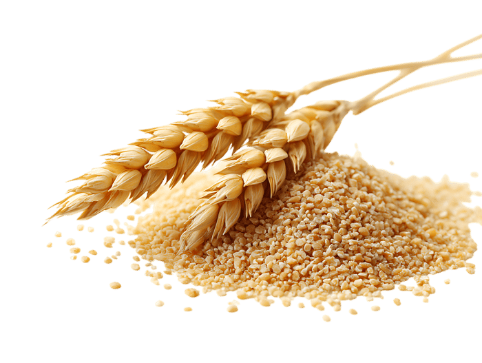 Golden Wheat and Grain
