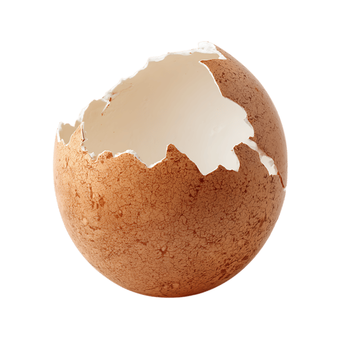 Broken eggshell, close-up view.