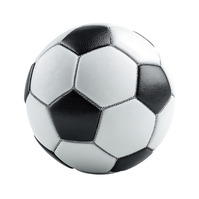 Classic Black and White Soccer Ball