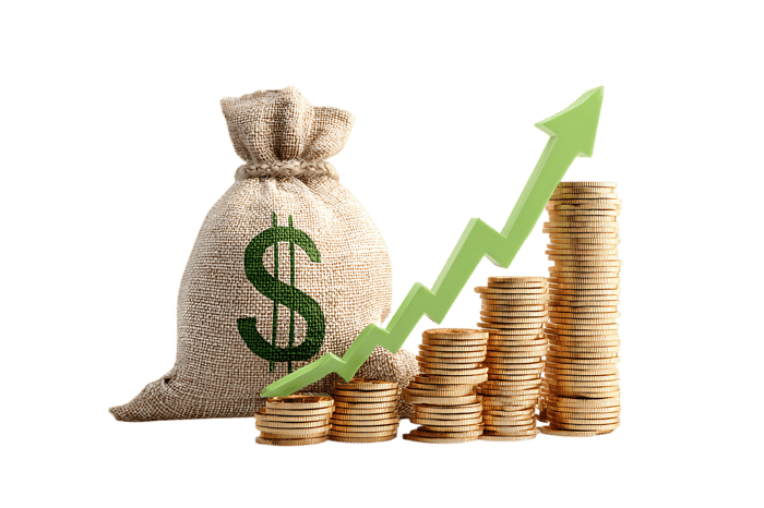 Money bag, coins, and upward arrow symbolizing financial success and wealth.