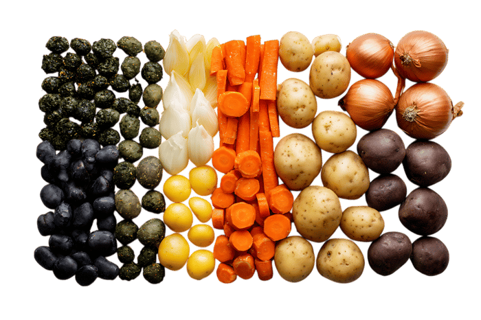 Variety of fresh vegetables arranged in rows.  Perfect for healthy eating concepts.