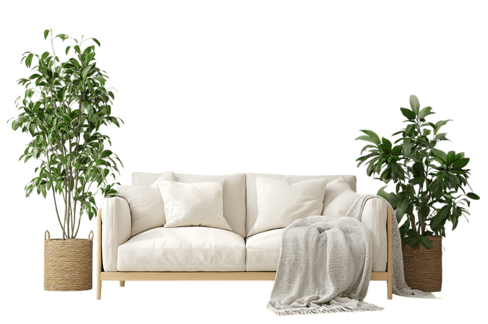 White sofa with plants, cozy living room interior