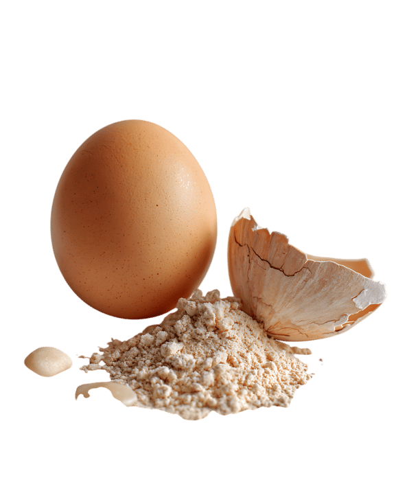 Egg and eggshell powder.