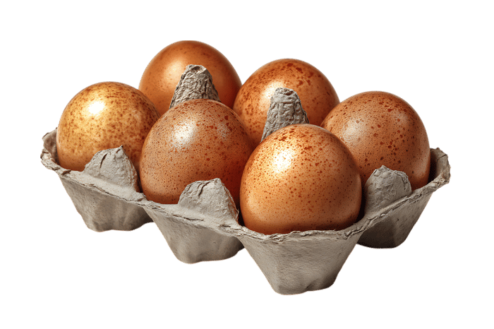 Five golden brown eggs in a carton