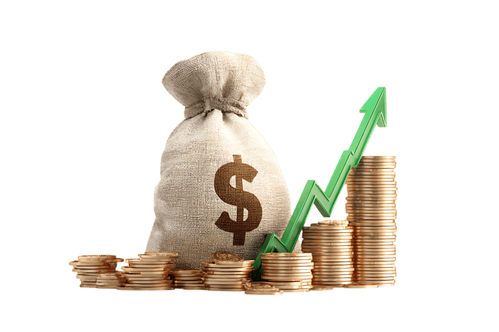 Illustrative image of financial success and wealth growth.