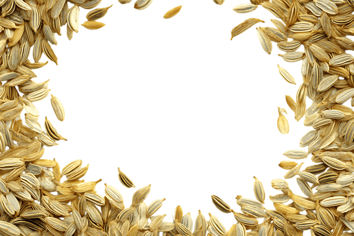 Caraway seeds frame with black background.  Perfect for culinary or spice themes.