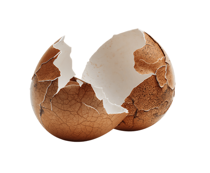 Cracked eggshell close-up. Brown, textured.