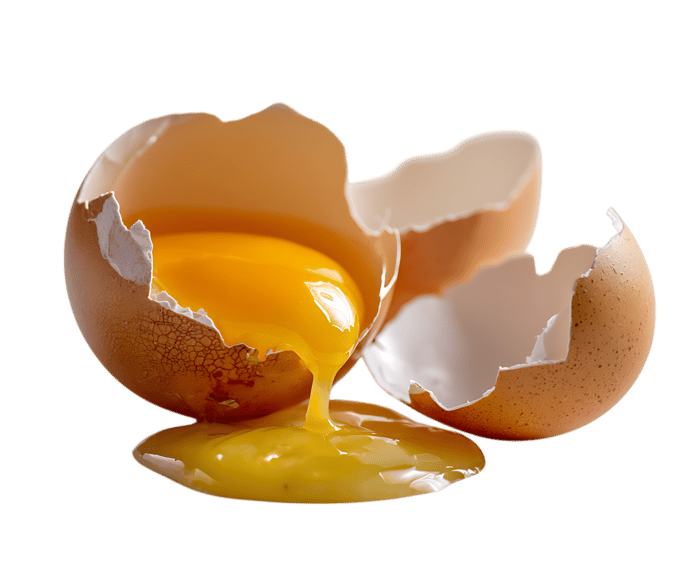Golden yolk flows from cracked shell.
