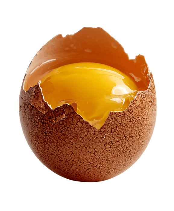 Golden yolk in a cracked brown egg.