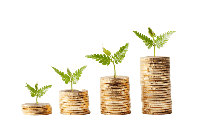 Growth and Investment. Financial success.