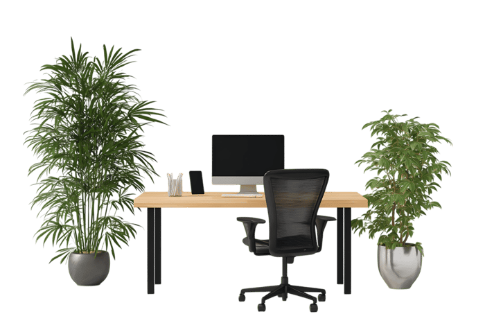 Modern home office with plants and computer