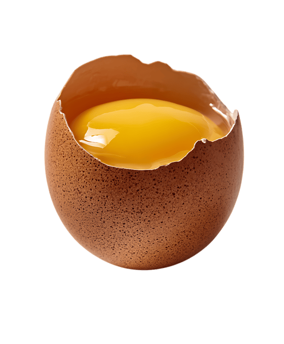 Golden yolk in a cracked brown egg690.
