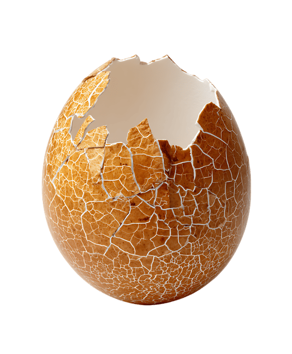 Cracked eggshell, revealing the inside.