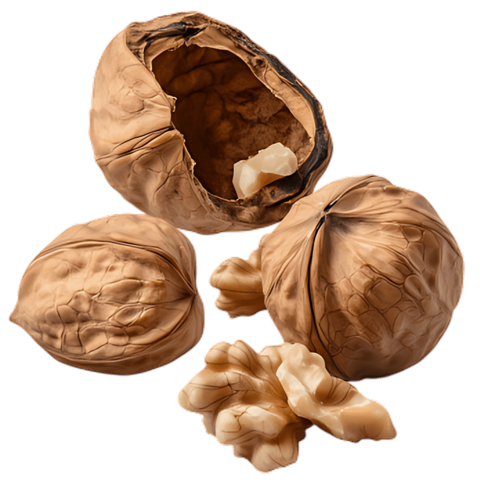 Close up of walnuts, cracked and whole.