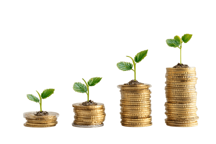 Growth and Investment