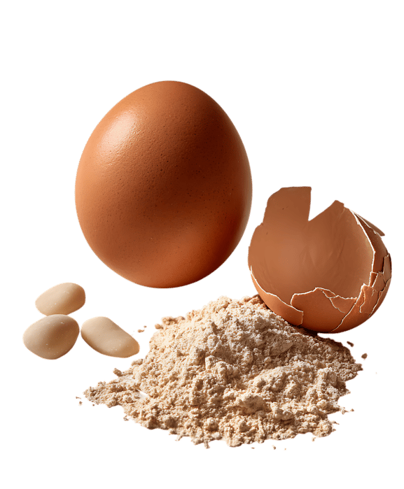 Brown egg, shell, and powder