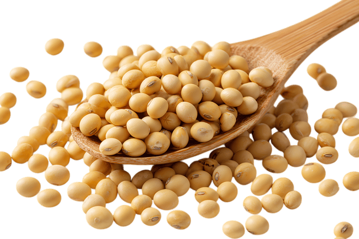 Close up of soybeans in a wooden spoon, healthy food concept.