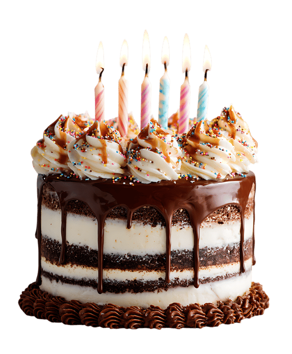 Delicious chocolate cake with lit candles.