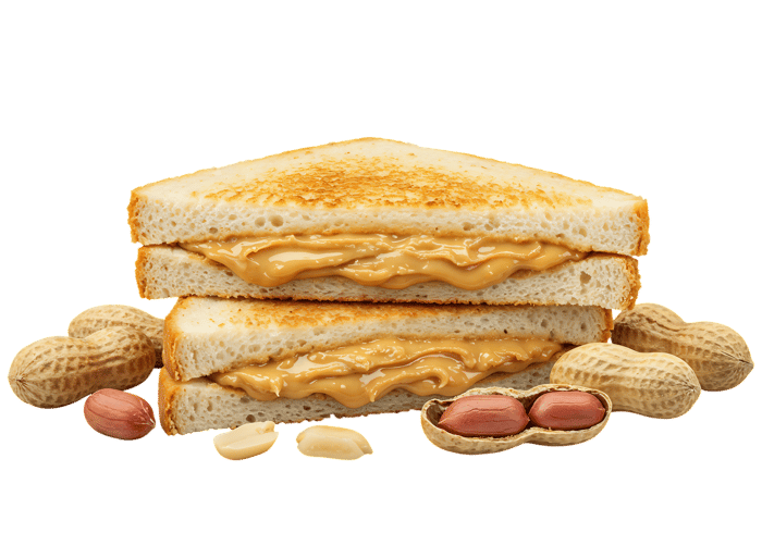 Delicious peanut butter sandwich with peanuts