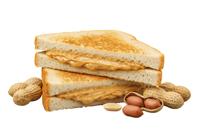 Delicious peanut butter sandwich and peanuts