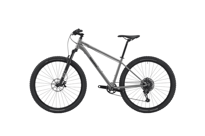 Gray mountain bike for outdoor recreation and exercise219