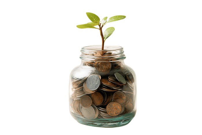 Seedling sprouting from a jar of coins.