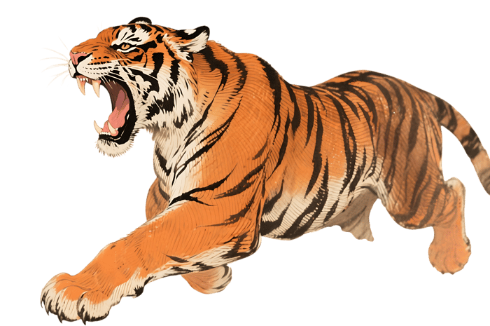 Roaring tiger leaping forward