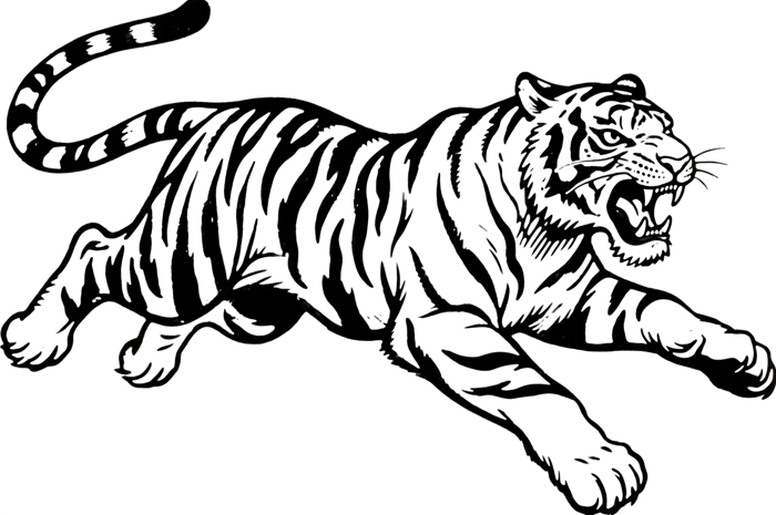 Illustration of a leaping tiger