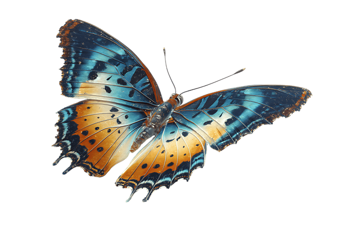 Vibrant butterfly with teal, orange, and black wings