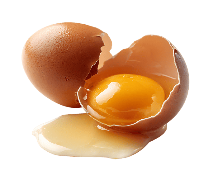 Broken egg yolk and shell