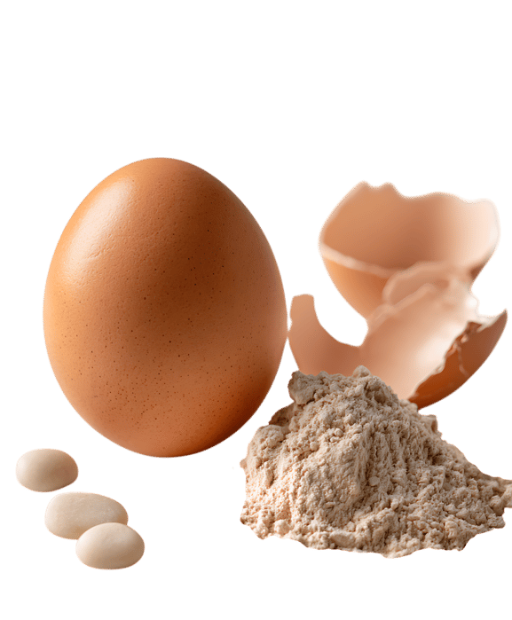 Egg, shell, and powder close-up.