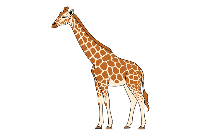 Cartoon giraffe with brown spots and long neck