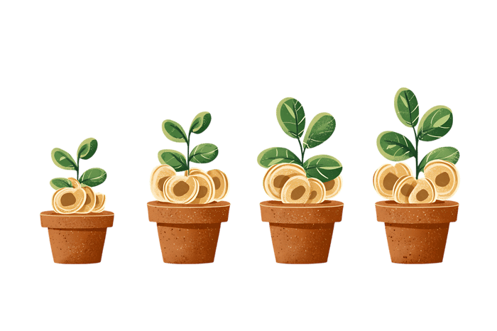 Money plant growing stages