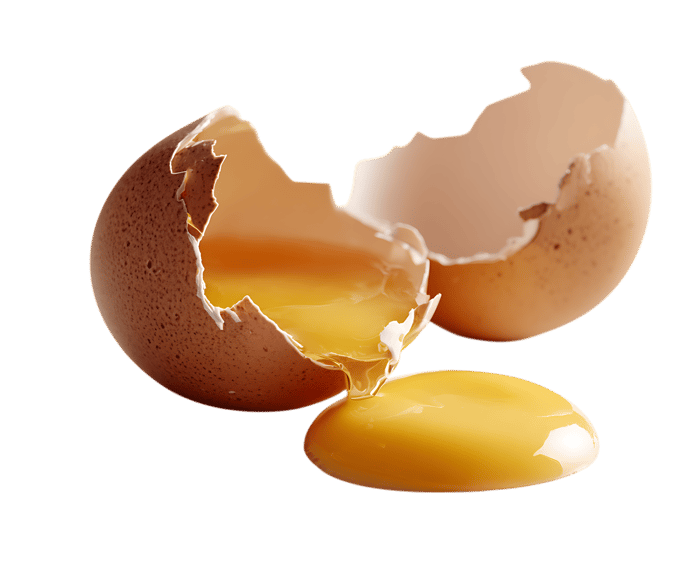 Broken egg yolk spills out
