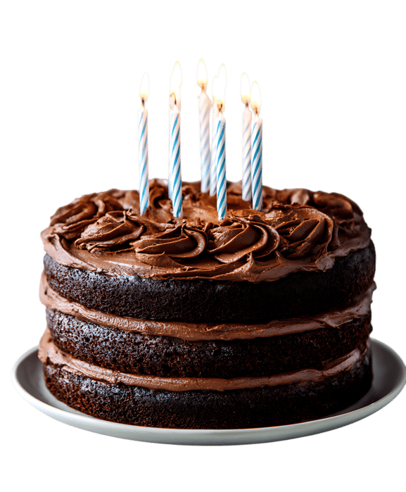 Delicious chocolate cake with lit candles644.