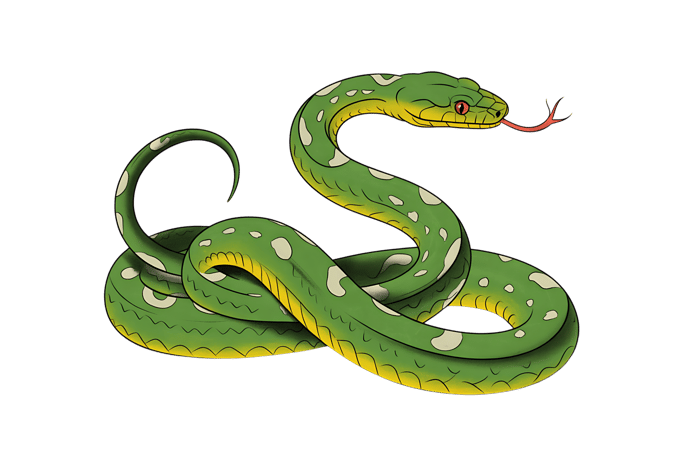 Green tree python illustration with red tongue