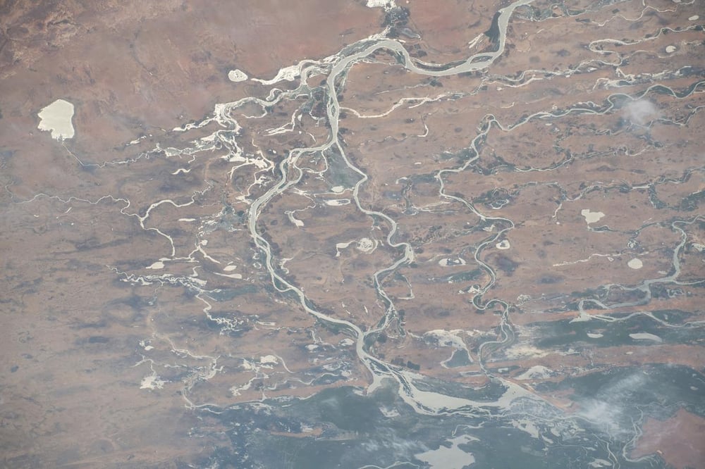 Satellite photograph of the Niger delta from the International Space Station: green channels fanning into the Atlantic.
