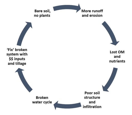 Broken Water Cycle Bold