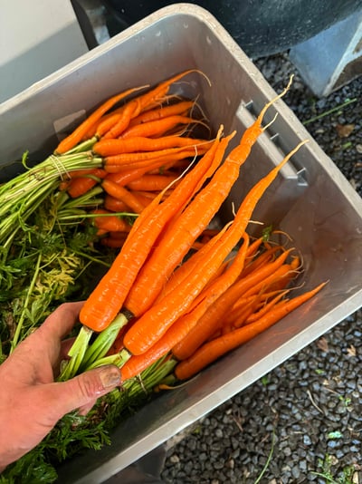 IMG_5401