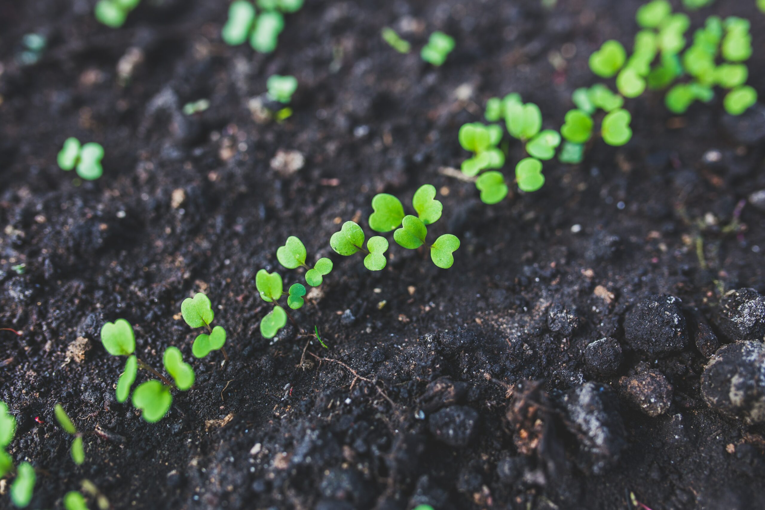The Principles and Science of Developing Regenerative Agriculture Ecosystems