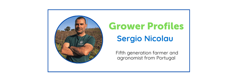GP Sergio Nicolau V2
