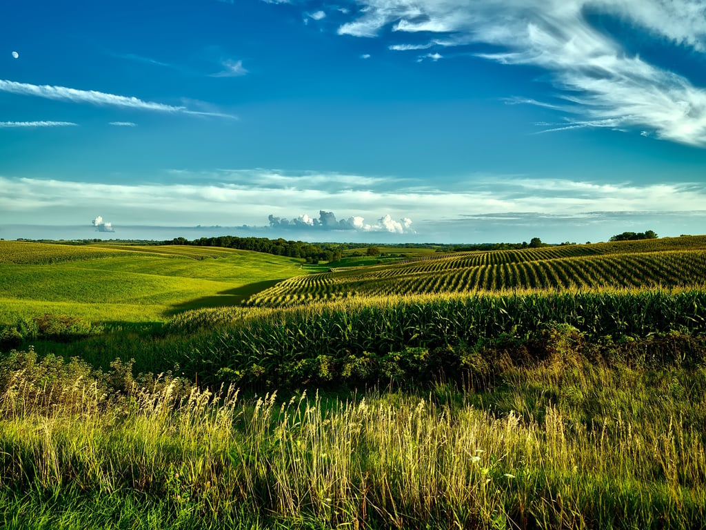 Redox Potential (Eh) and pH as indicators of Soil, Plant and Animal Health and Quality